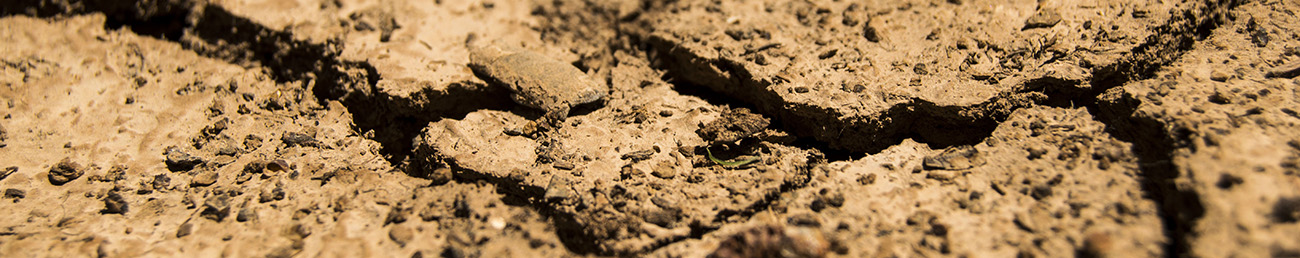 drought drought